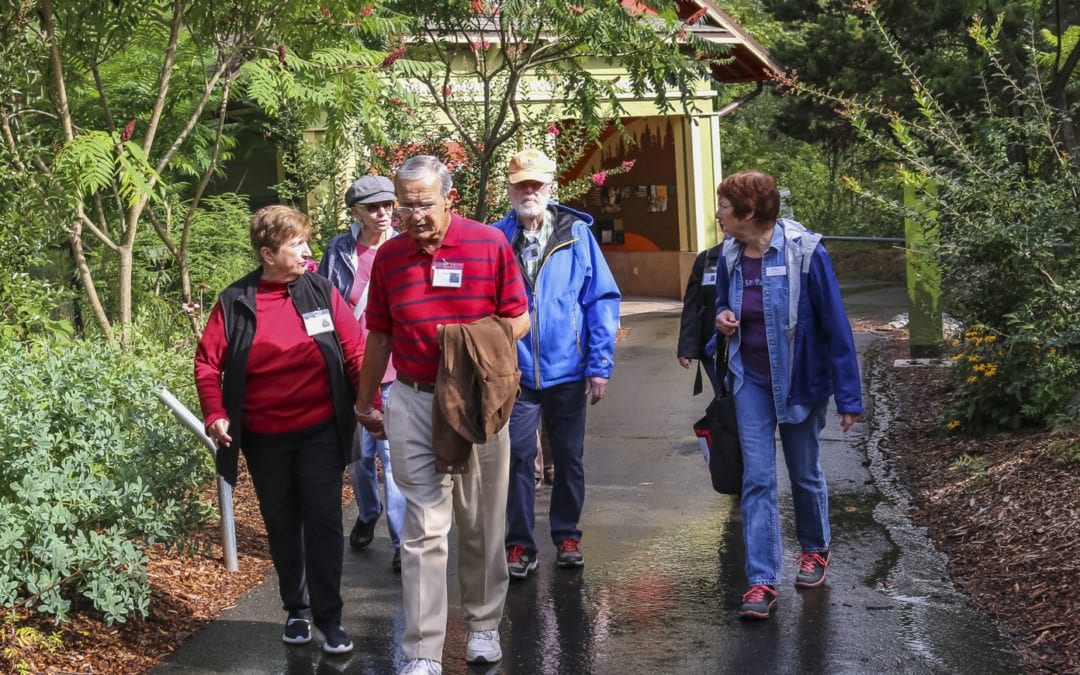 Tacoma Zoo Walk Helps People with Early Stage Memory Loss