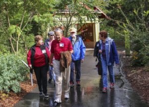 Early Stage Memory Zoo Walk at Point Defiance Zoo in Tacoma