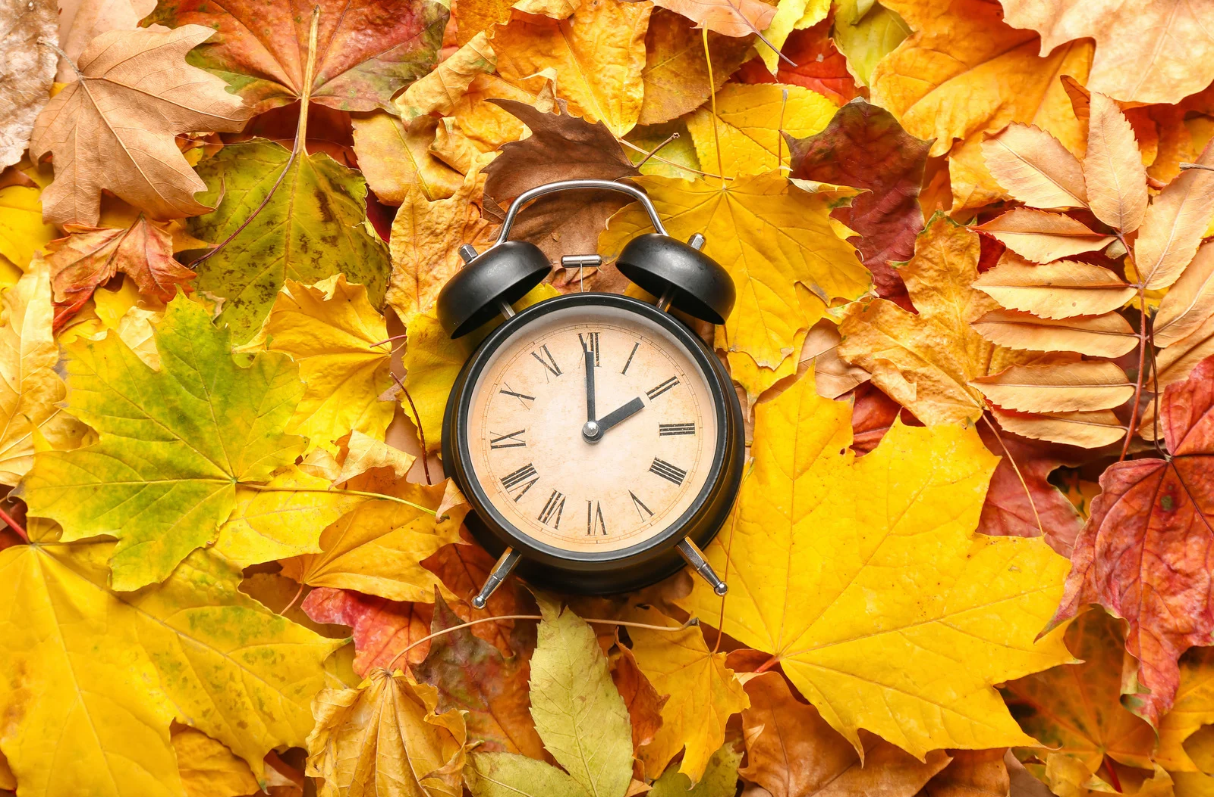 Clock lying in a bed of autumn leaves